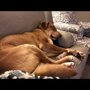 Meet your Posher, Jourdan